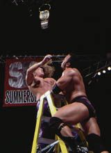 The Rock whippin' HHH at a ladder match.